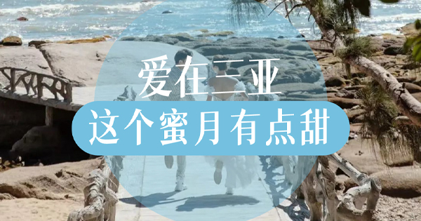 爱在三亚 这个蜜月有点甜