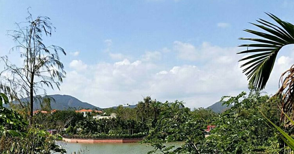 来三亚中廖村，体验“慢”生活